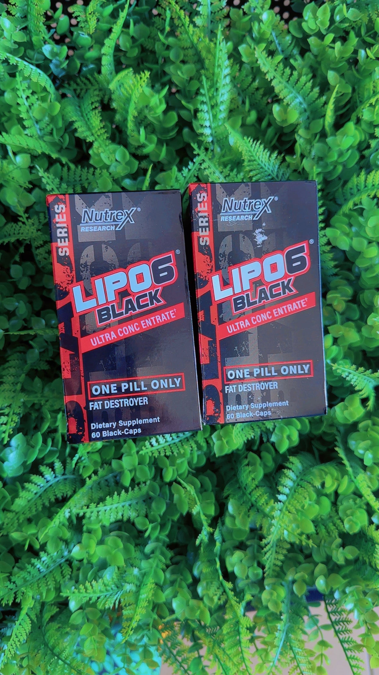 Lipo 6 Black